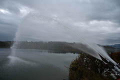 TLP-Bronze-VK-Bachhiesl-105