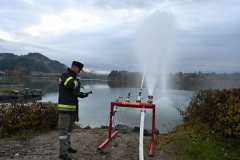 TLP-Bronze-VK-Bachhiesl-111