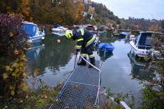 TLP-Bronze-VK-Bachhiesl-114