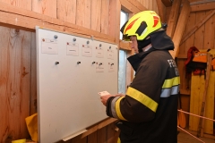 TLP-Bronze-VK-Bachhiesl-135