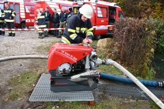 TLP-Bronze-VK-Bachhiesl-150