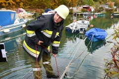 TLP-Bronze-VK-Bachhiesl-165