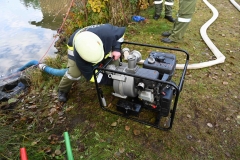 TLP-Bronze-VK-Bachhiesl-169