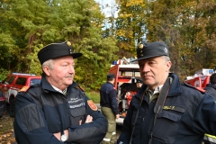 TLP-Bronze-VK-Bachhiesl-172