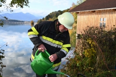 TLP-Bronze-VK-Bachhiesl-184