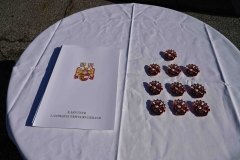 TLP-Bronze-VK-Bachhiesl-199