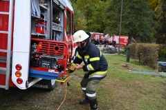 TLP-Bronze-VK-Bachhiesl-221