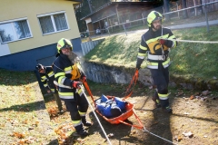 TLP-Silber-VK-118