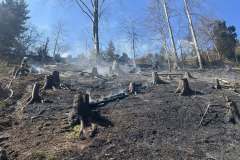 490815488_1095131312655806_1240331801873856604_n