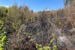 WhatsApp-Image-2025-04-12-at-14.31.43-2