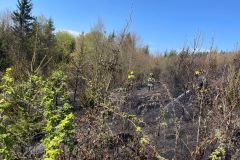 WhatsApp-Image-2025-04-12-at-14.31.44