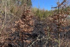 WhatsApp-Image-2025-04-12-at-14.31.45