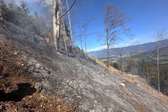 WhatsApp-Image-2025-04-12-at-14.43.06