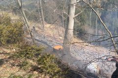 WhatsApp-Image-2025-04-12-at-14.43.08-2