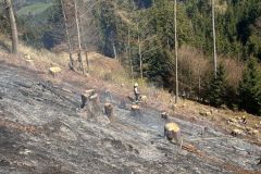 WhatsApp-Image-2025-04-12-at-14.43.09