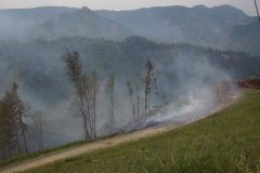 Waldbrand-Leppen-Tag-2-112