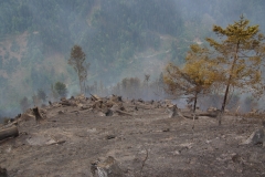 Waldbrand-Leppen-Tag-2-119