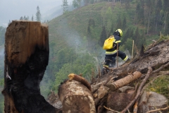 Waldbrand-Leppen-Tag-2-125
