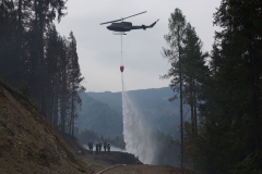 Waldbrand-Leppen-Tag-2-142