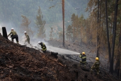 Waldbrand-Leppen-Tag-2-145