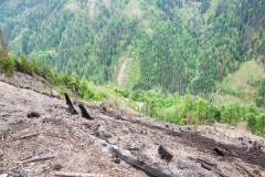 Waldbrand-Leppen-Tag-3-108