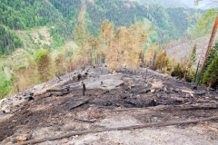 Waldbrand-Leppen-Tag-3-109