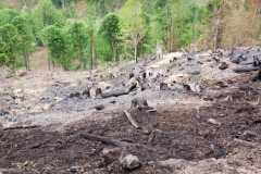 Waldbrand-Leppen-Tag-3-110