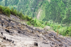 Waldbrand-Leppen-Tag-3-112