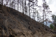 Waldbrand-Leppen-Tag-3-113
