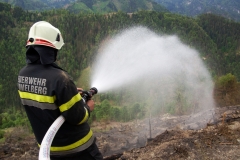 Waldbrand-Leppen-Tag-3-114