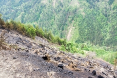 Waldbrand-Leppen-Tag-3-115