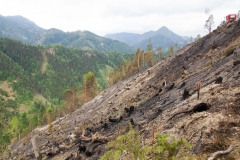 Waldbrand-Leppen-Tag-3-116