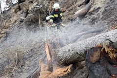 Waldbrand-Leppen-Tag-3-117