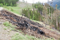 Waldbrand-Leppen-Tag-3-122