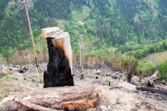 Waldbrand-Leppen-Tag-3-123