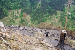Waldbrand-Leppen-Tag-3-124