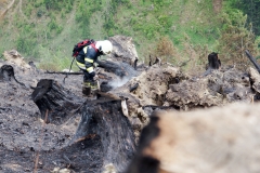 Waldbrand-Leppen-Tag-3-125