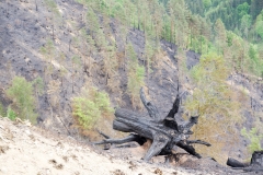 Waldbrand-Leppen-Tag-3-126