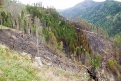 Waldbrand-Leppen-Tag-3-127